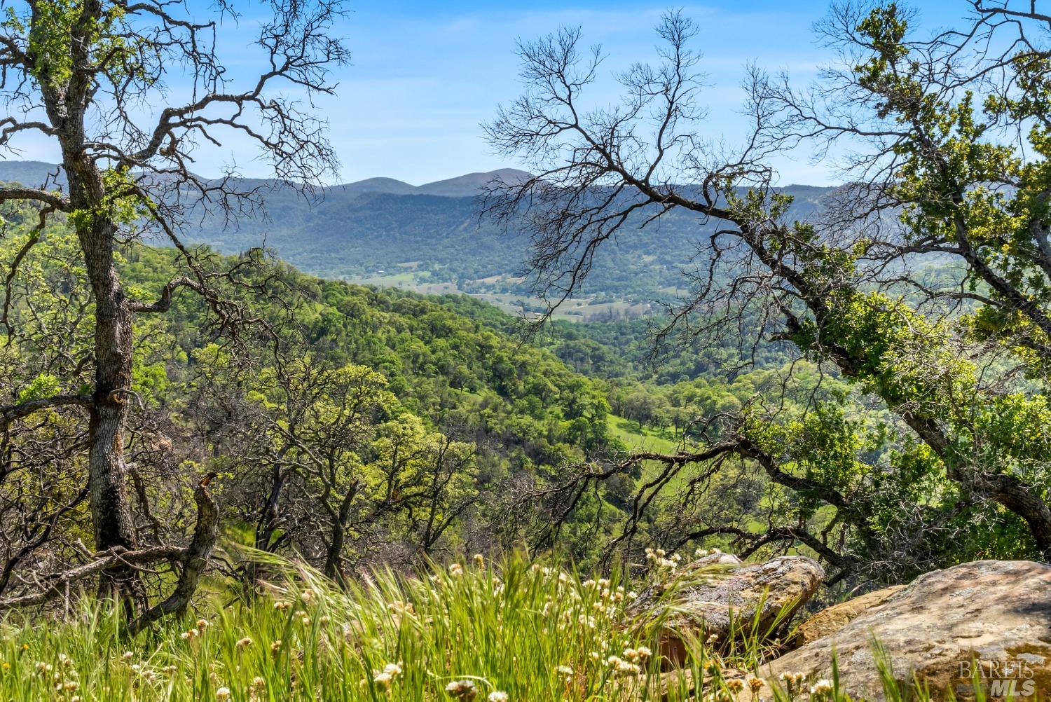 Detail Gallery Image 31 of 36 For 95 Longhorn Ridge Rd, Napa,  CA 94558 - 3 Beds | 2/1 Baths