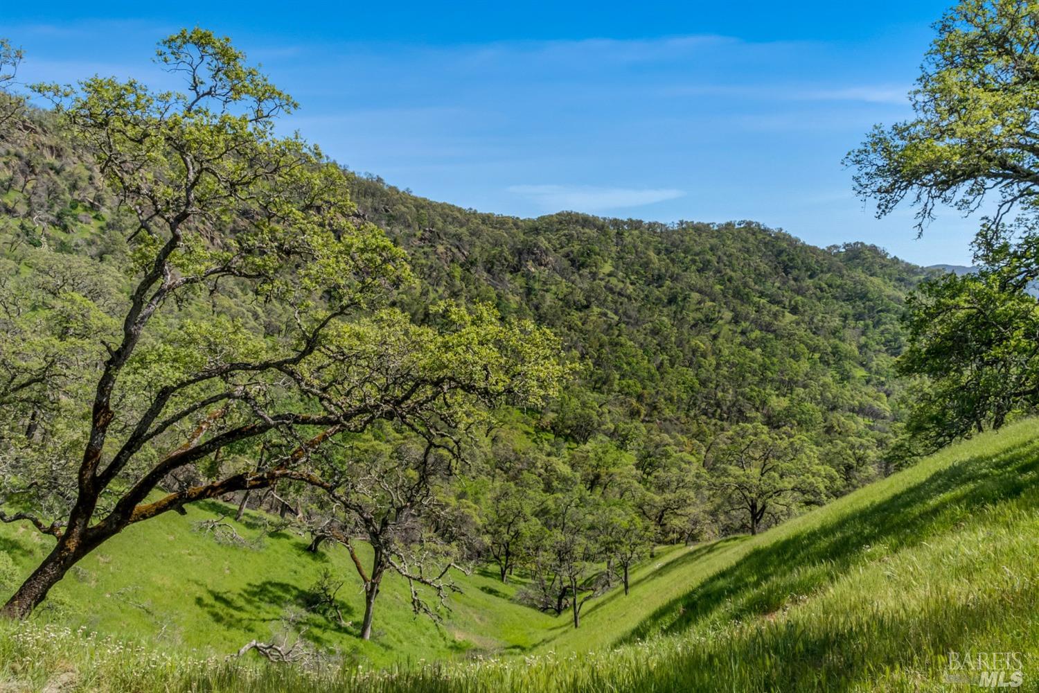 Detail Gallery Image 33 of 36 For 95 Longhorn Ridge Rd, Napa,  CA 94558 - 3 Beds | 2/1 Baths