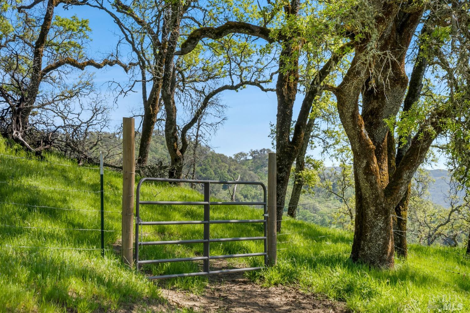 Detail Gallery Image 29 of 36 For 95 Longhorn Ridge Rd, Napa,  CA 94558 - 3 Beds | 2/1 Baths