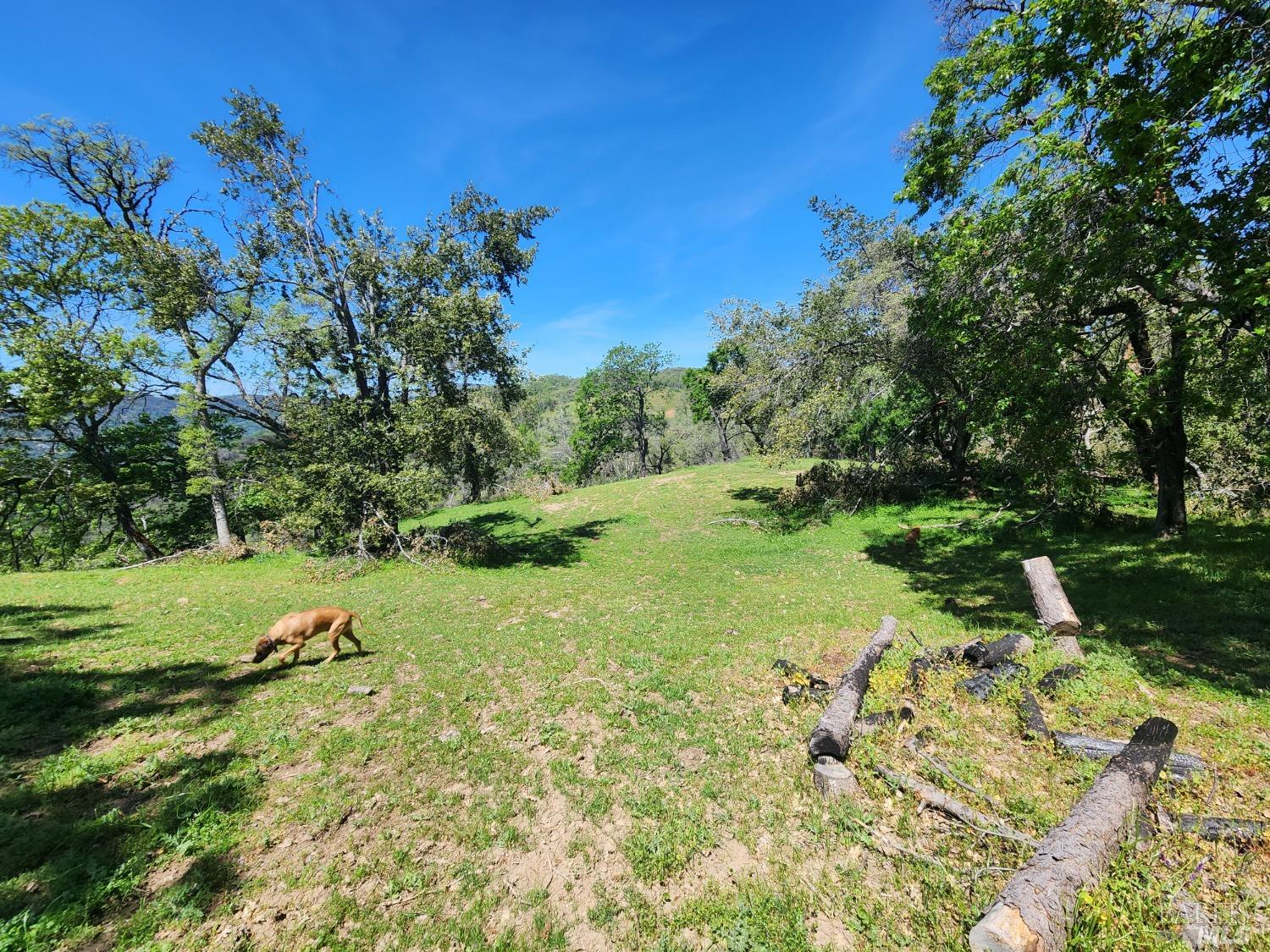 Detail Gallery Image 5 of 15 For 0 Longhorn Ridge Rd, Napa,  CA 94558 - – Beds | – Baths