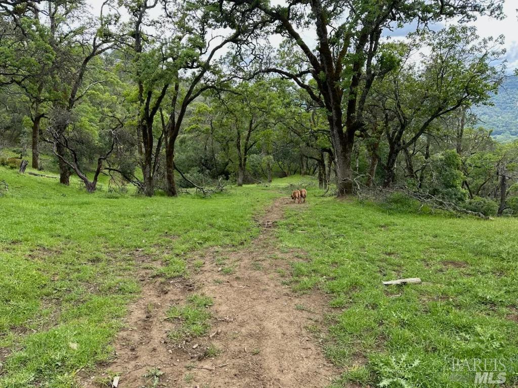 Detail Gallery Image 10 of 15 For 0 Longhorn Ridge Rd, Napa,  CA 94558 - – Beds | – Baths