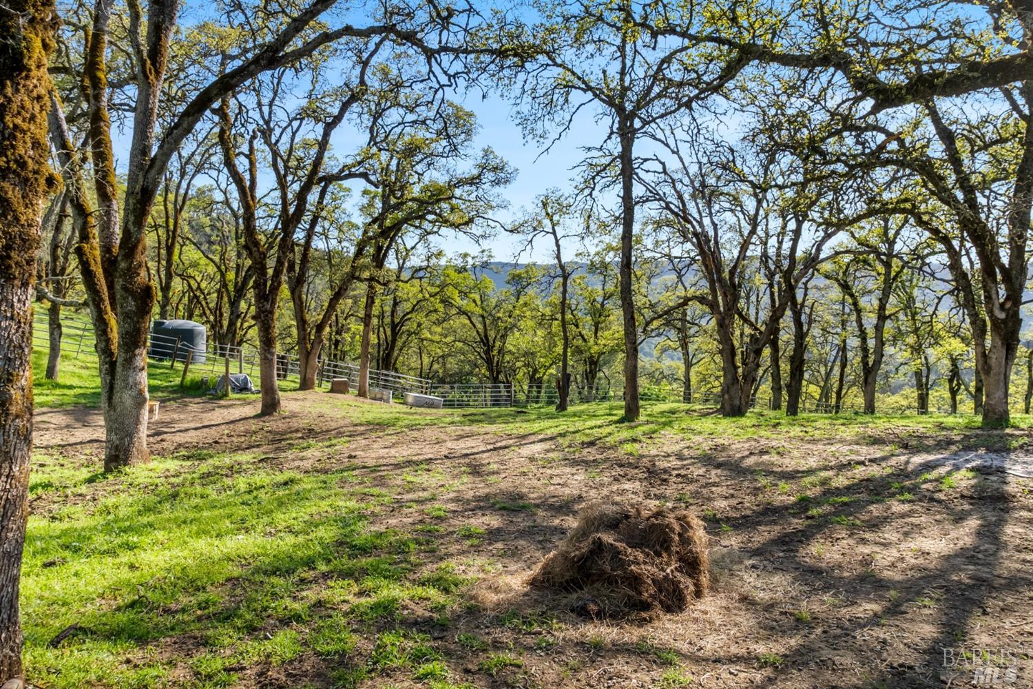 Detail Gallery Image 28 of 36 For 95 Longhorn Ridge Rd, Napa,  CA 94558 - 3 Beds | 2/1 Baths