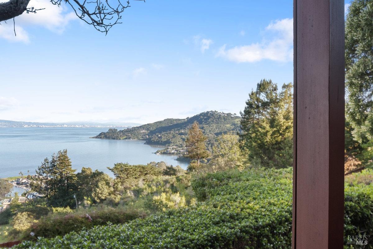 Detail Gallery Image 40 of 65 For 325 Taylor Rd, Tiburon,  CA 94920 - 3 Beds | 2/1 Baths