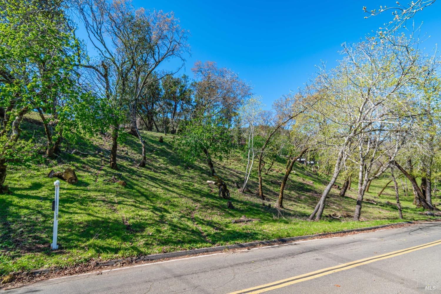 Detail Gallery Image 3 of 13 For 0 Country Club Ln, Napa,  CA 94558 - – Beds | – Baths