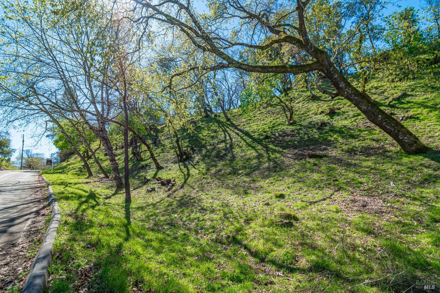 Detail Gallery Image 10 of 14 For 0 Country Club Ln, Napa,  CA 94558 - – Beds | – Baths