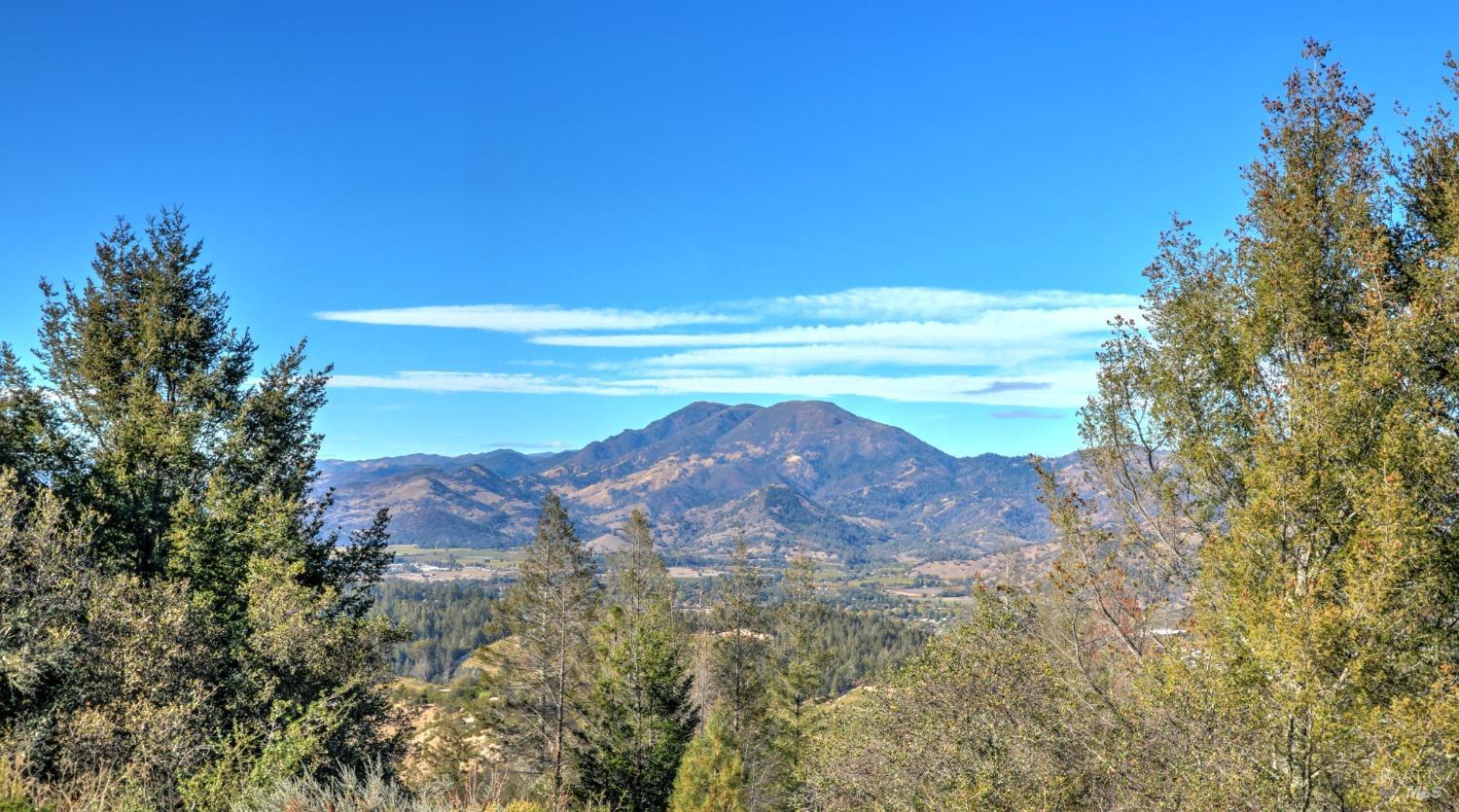 Detail Gallery Image 53 of 56 For 1755 Diamond Mountain Rd, Calistoga,  CA 94515 - 3 Beds | 3/1 Baths