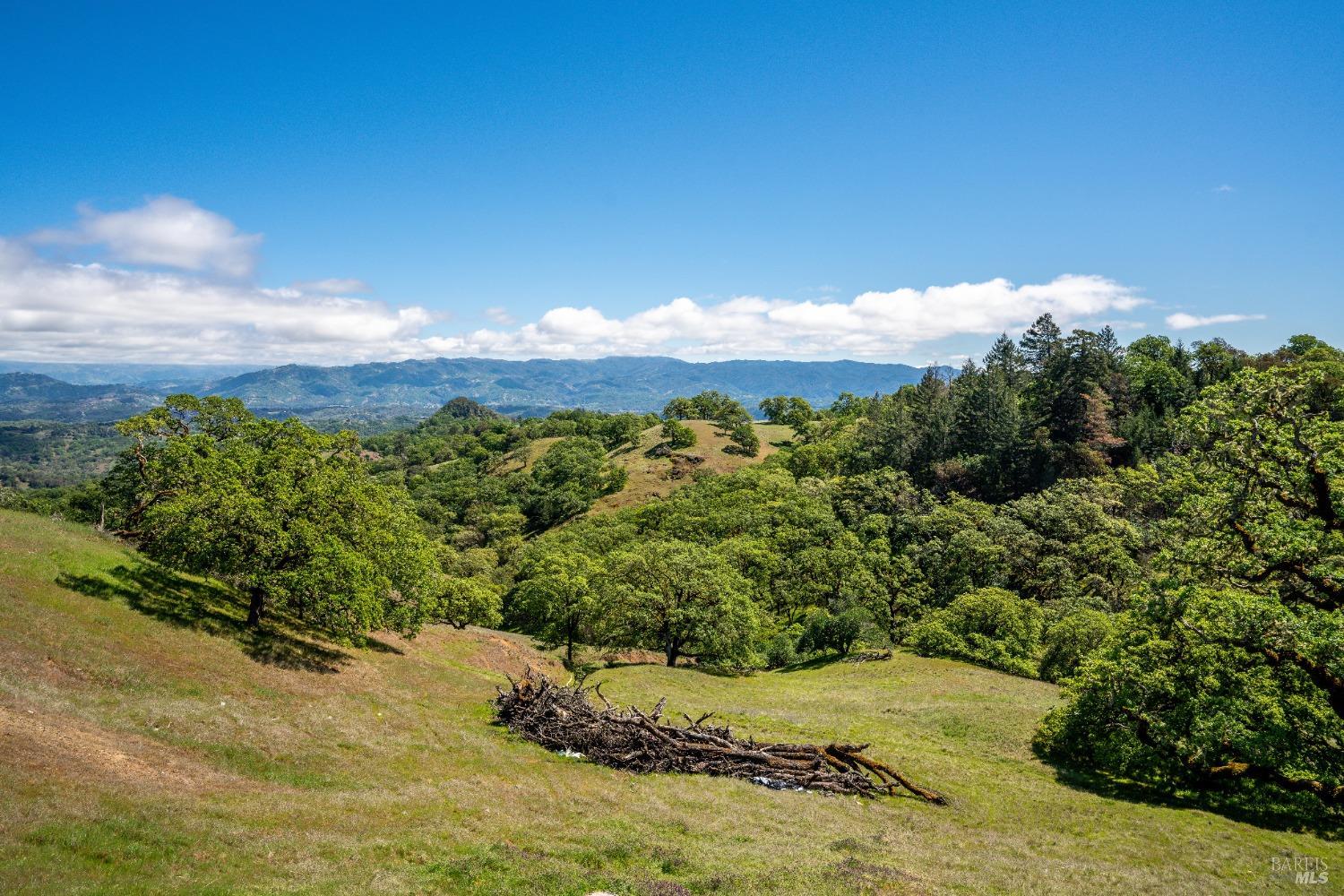 Detail Gallery Image 81 of 91 For 5500 Parducci Rd, Ukiah,  CA 95482 - 3 Beds | 3 Baths