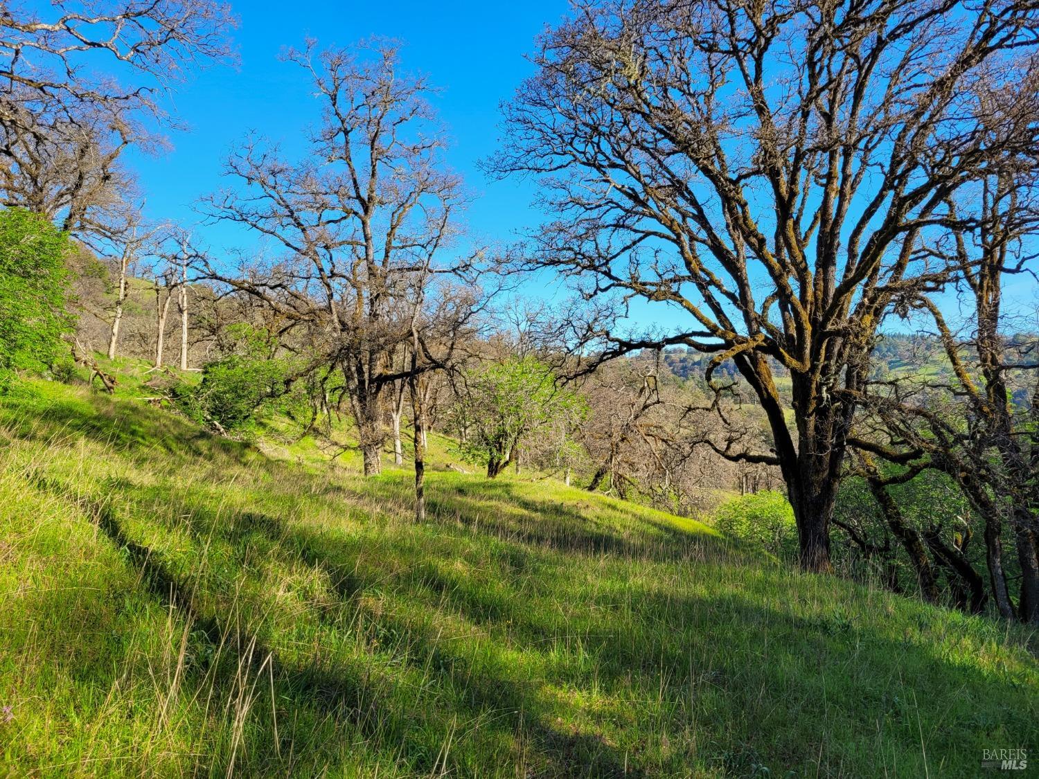 Detail Gallery Image 90 of 91 For 5500 Parducci Rd, Ukiah,  CA 95482 - 3 Beds | 3 Baths