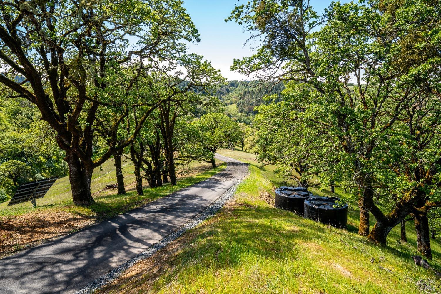 Detail Gallery Image 84 of 91 For 5500 Parducci Rd, Ukiah,  CA 95482 - 3 Beds | 3 Baths