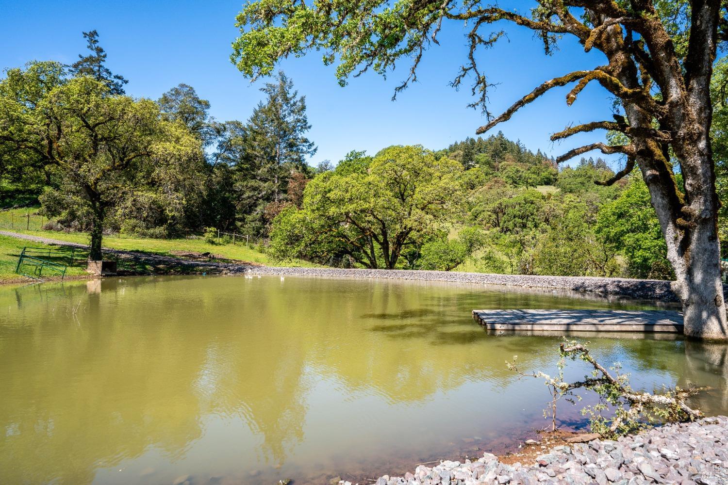 Detail Gallery Image 37 of 91 For 5500 Parducci Rd, Ukiah,  CA 95482 - 3 Beds | 3 Baths