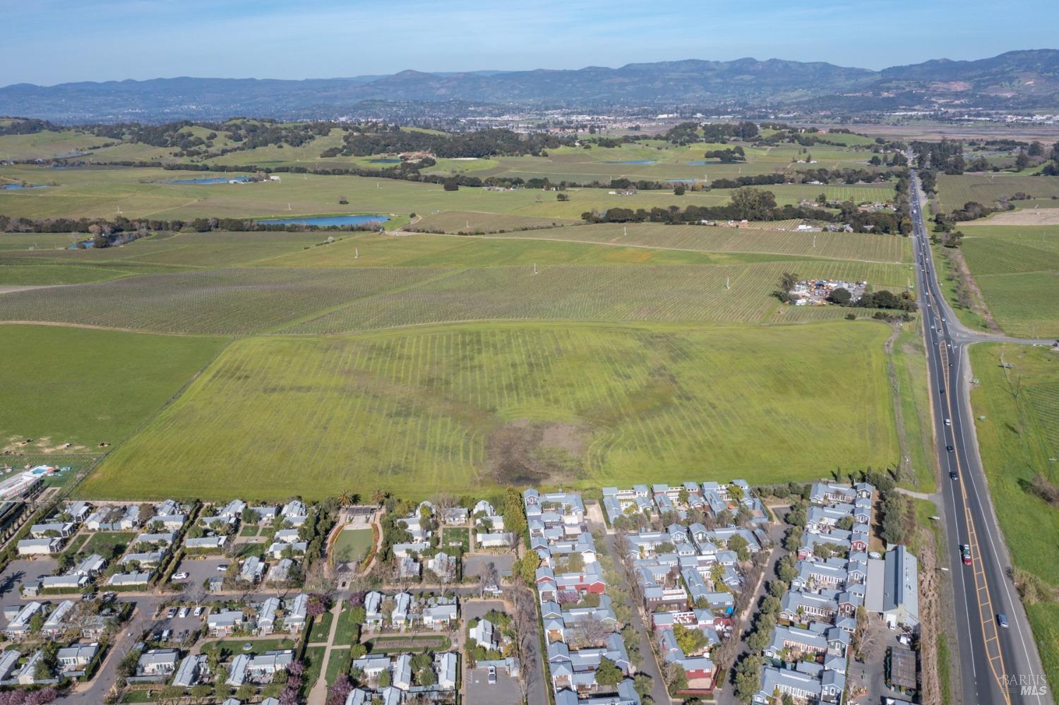 Carneros Highway, Napa, California image 24