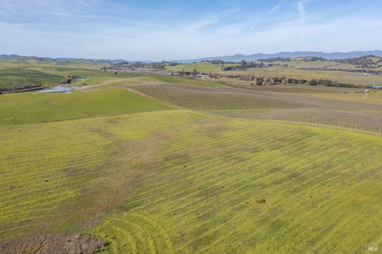 Carneros Highway, Napa, California image 2