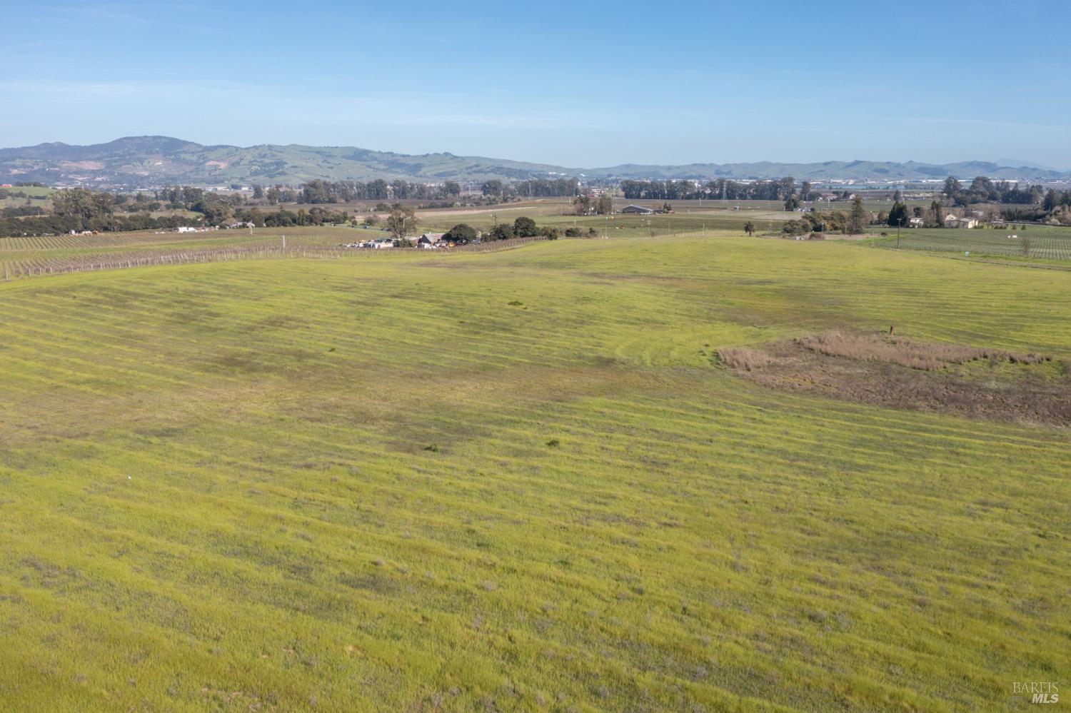 Carneros Highway, Napa, California image 6