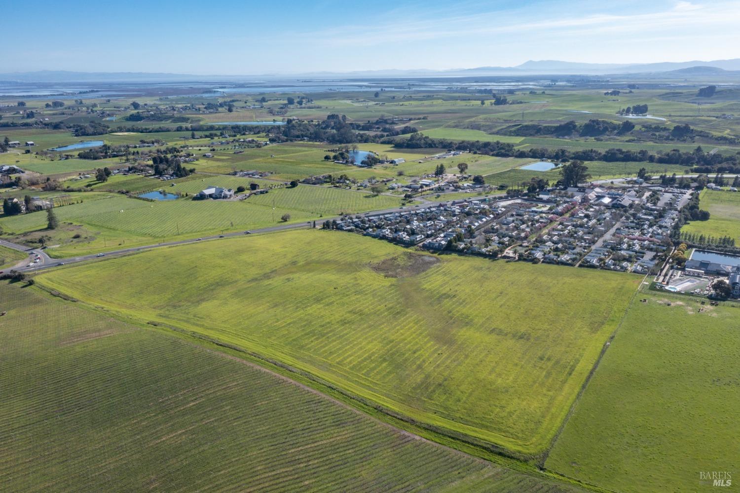 Carneros Highway, Napa, California image 18