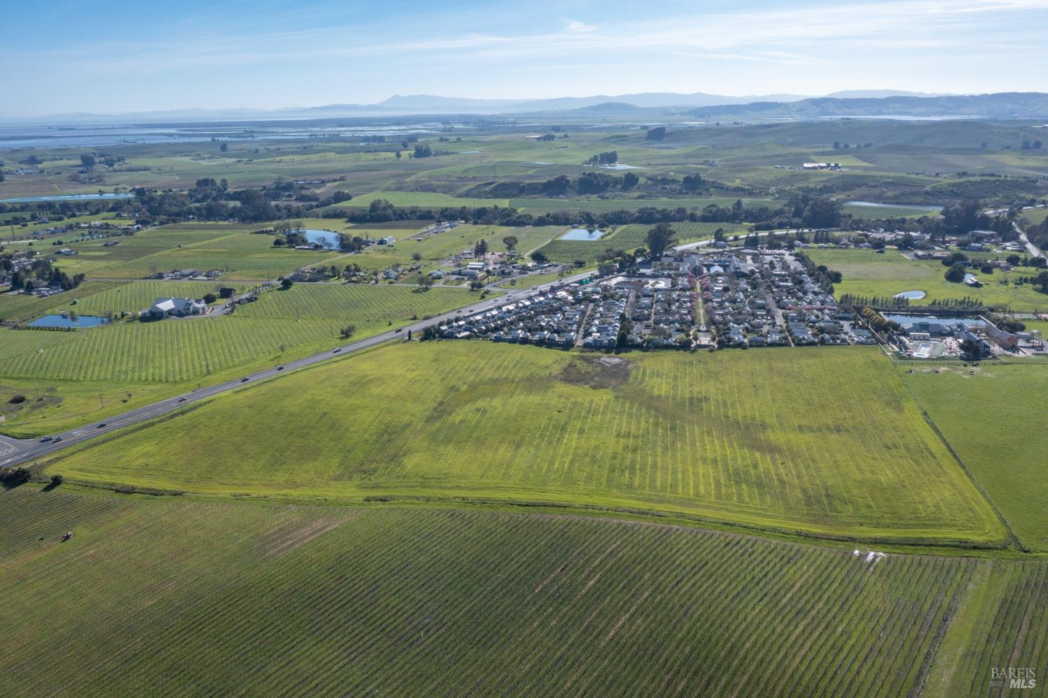 Carneros Highway, Napa, California image 17