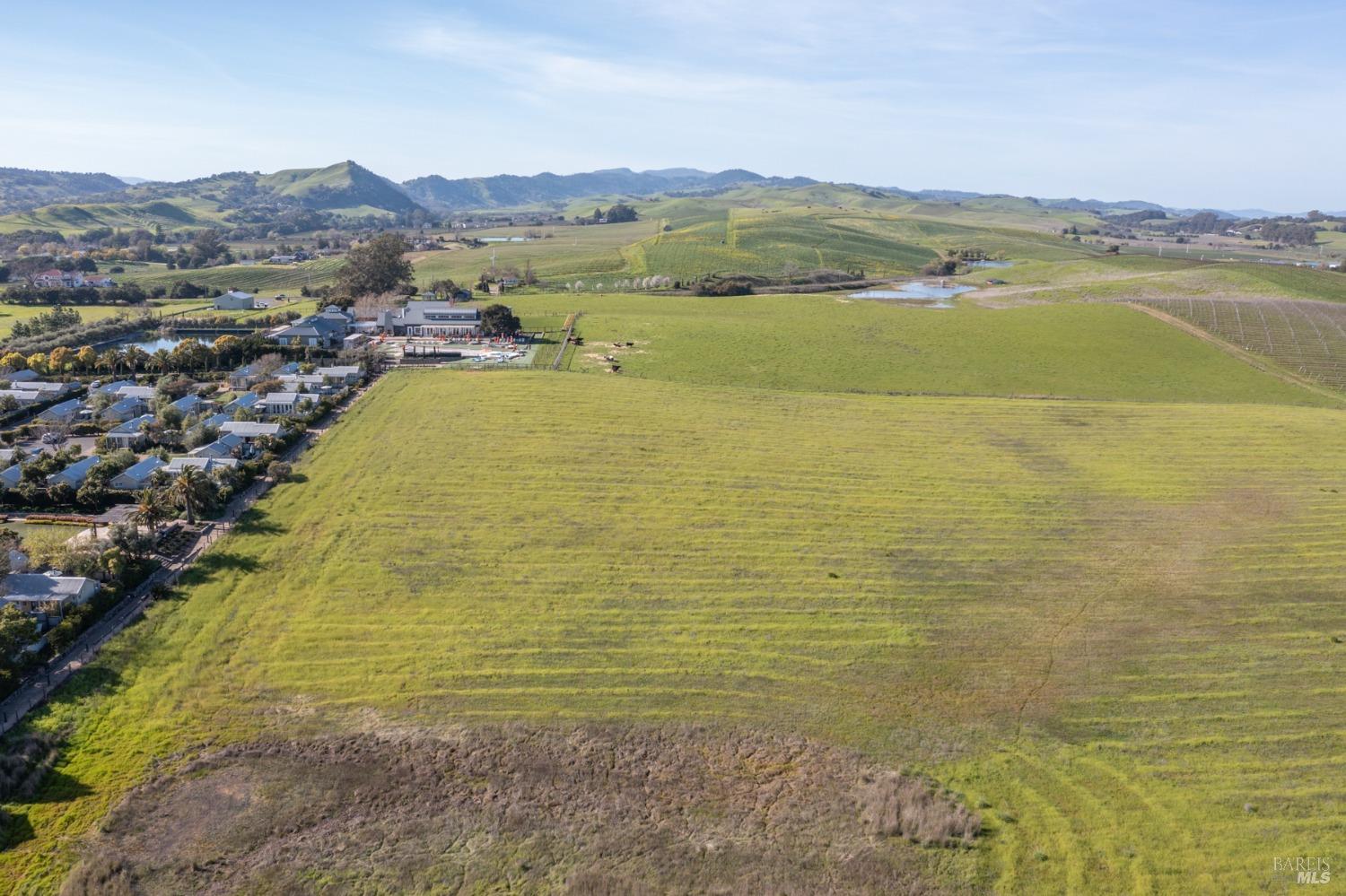 Carneros Highway, Napa, California image 4