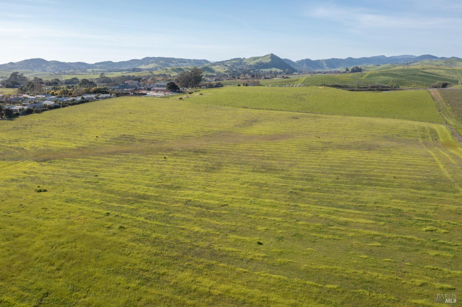 Carneros Highway, Napa, California image 10