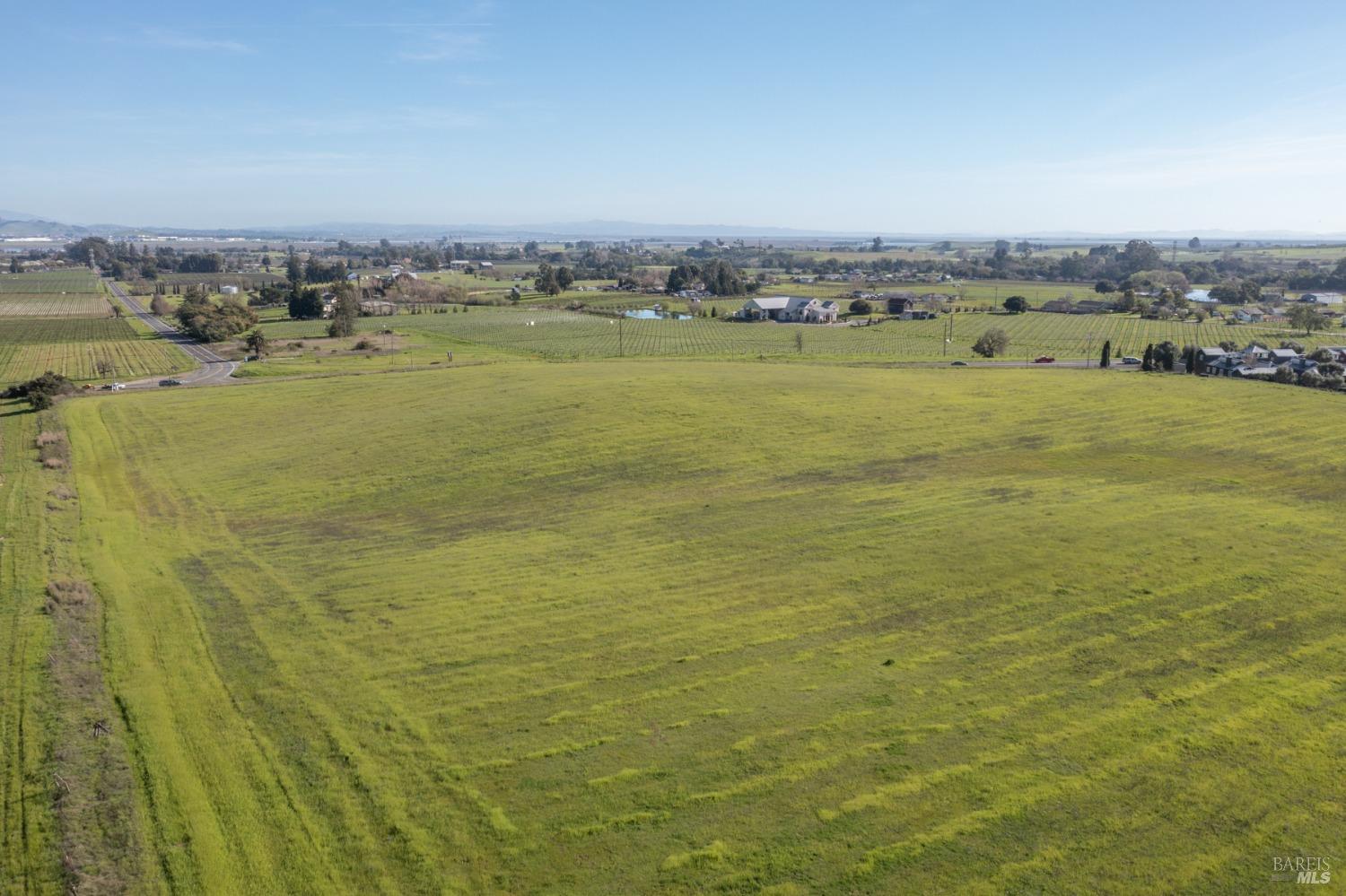 Carneros Highway, Napa, California image 9