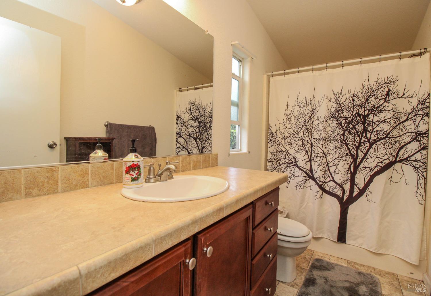 Detail Gallery Image 37 of 44 For 163 Avenida Hidalgo Ave, Vacaville,  CA 95687 - 3 Beds | 2 Baths