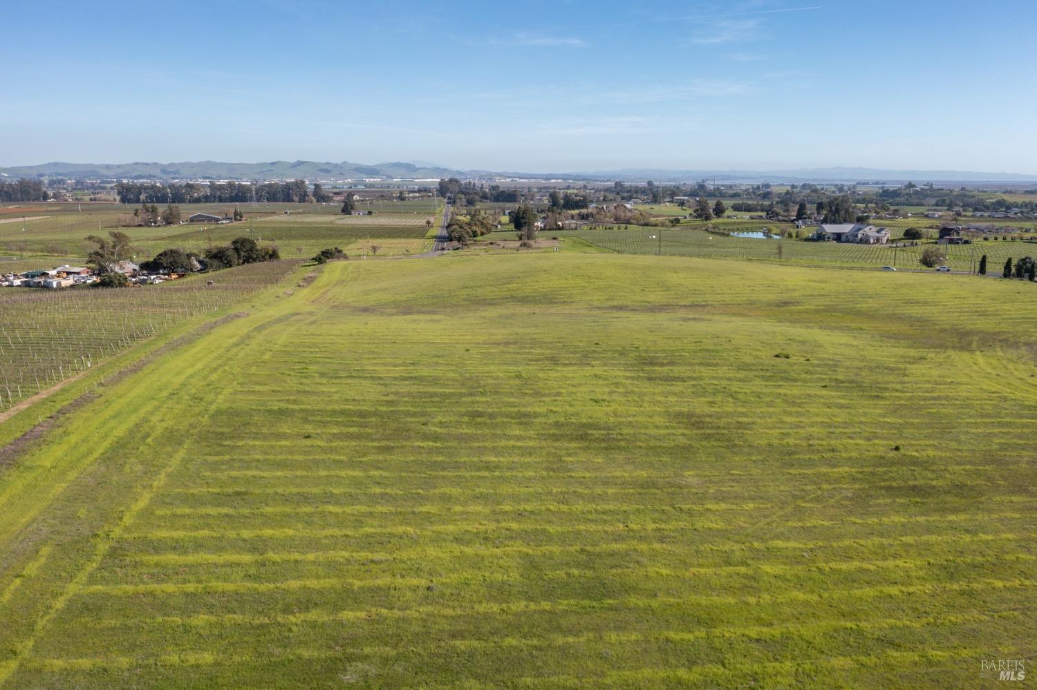 Carneros Highway, Napa, California image 8