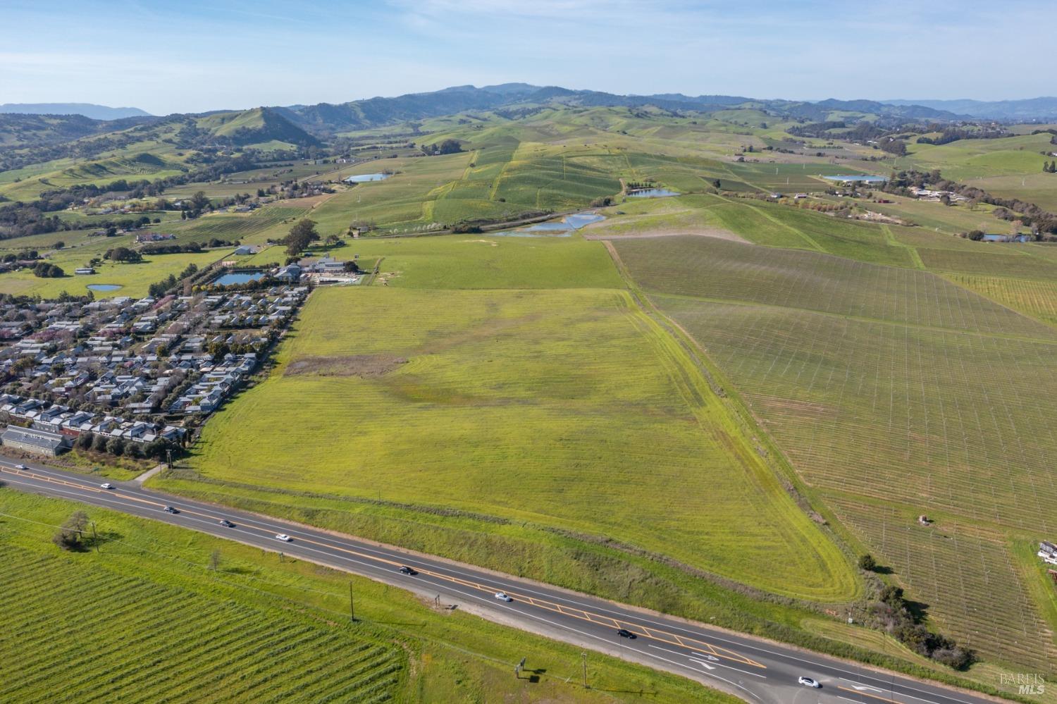 Carneros Highway, Napa, California image 28