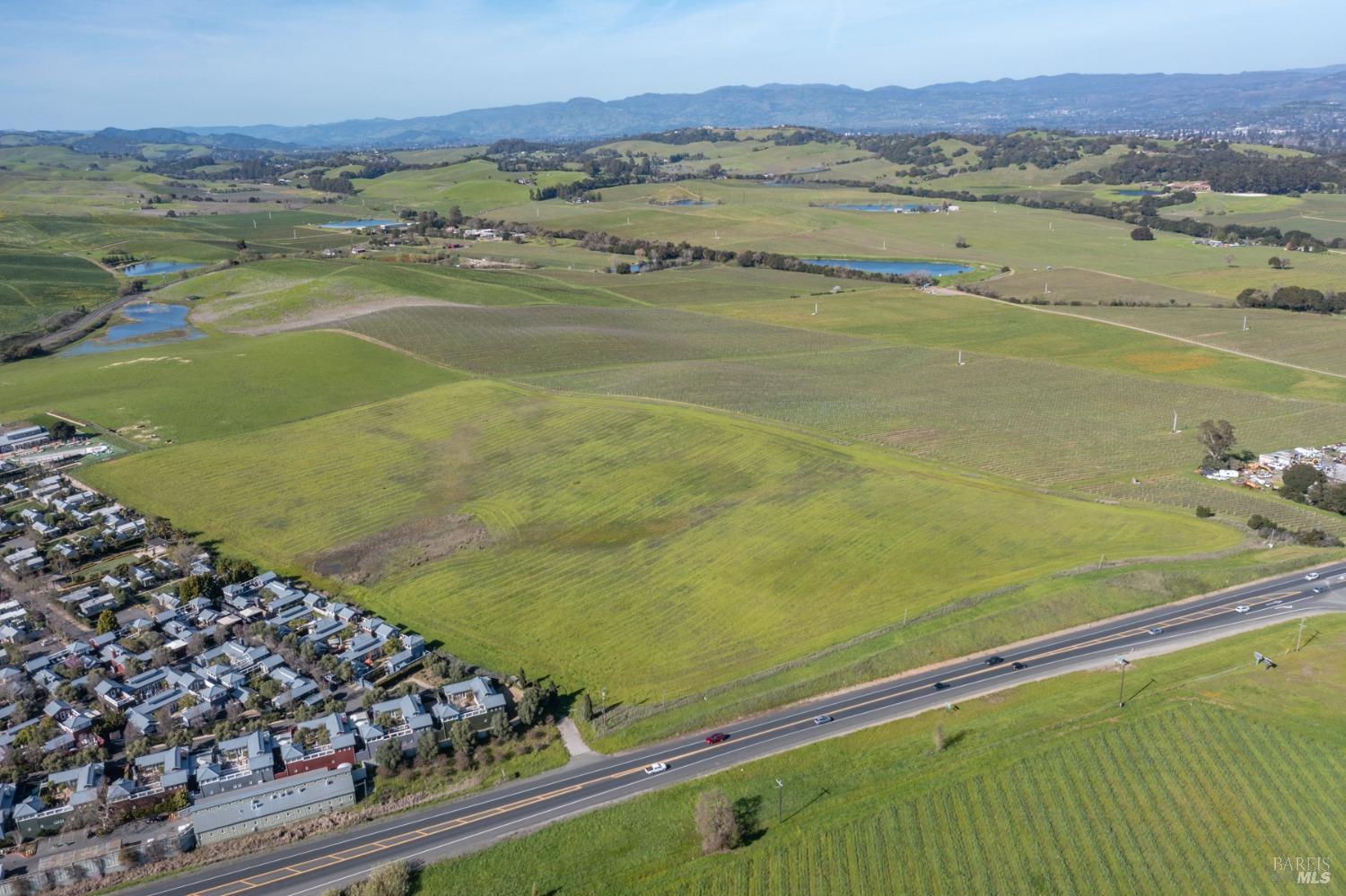 Carneros Highway, Napa, California image 26