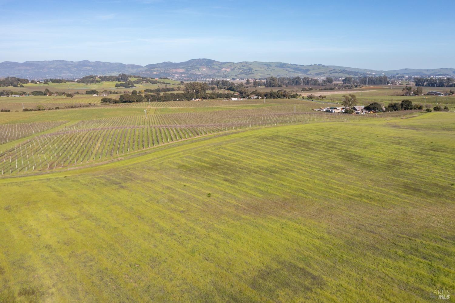 Carneros Highway, Napa, California image 7