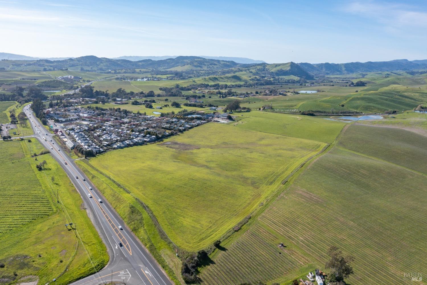 Carneros Highway, Napa, California image 30