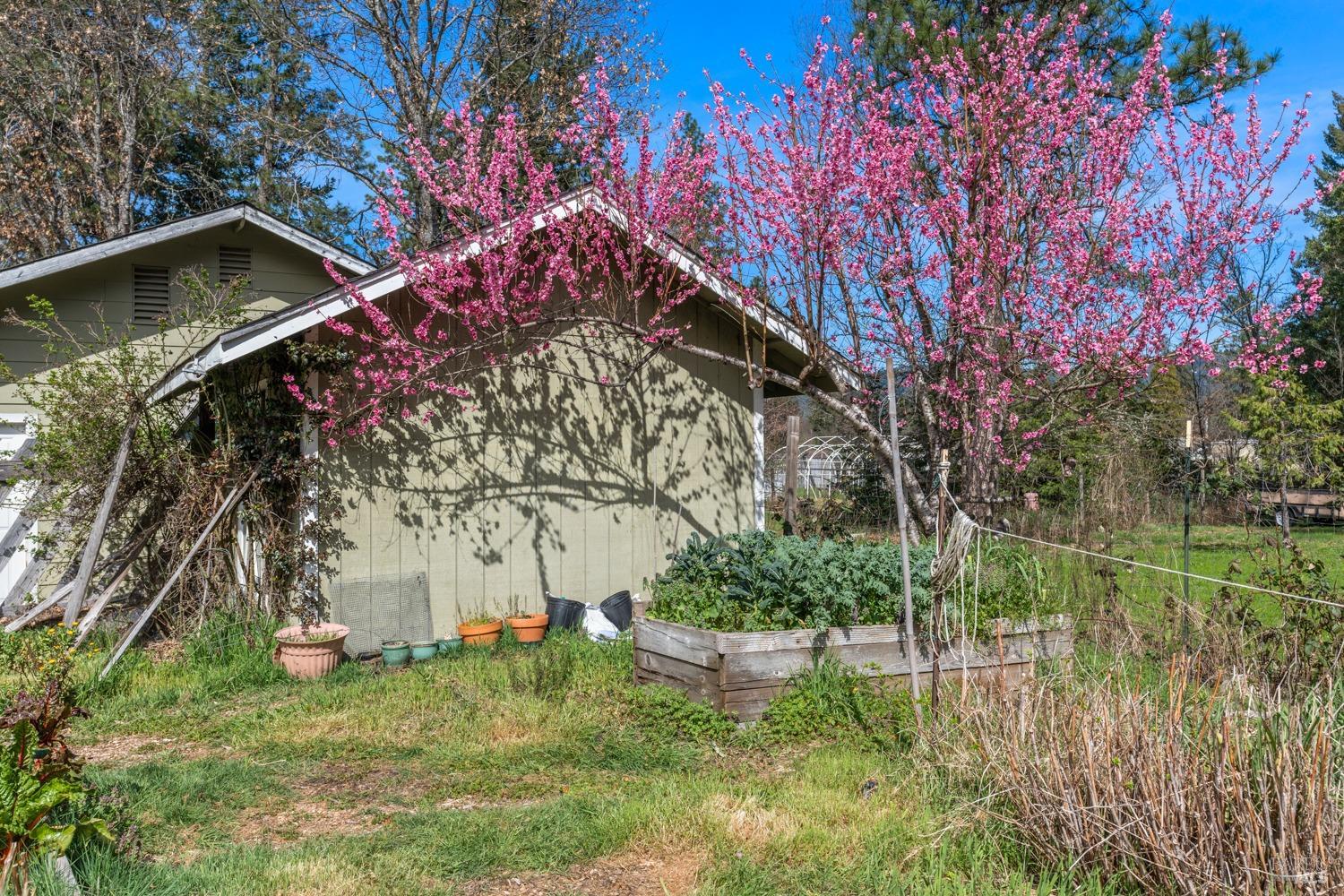 Detail Gallery Image 22 of 30 For 2201 North Rd, Laytonville,  CA 95454 - 2 Beds | 2/1 Baths