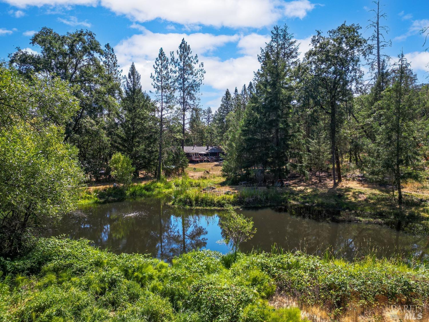 Detail Gallery Image 25 of 39 For 700 Steele Ln, Laytonville,  CA 95454 - 2 Beds | 2 Baths