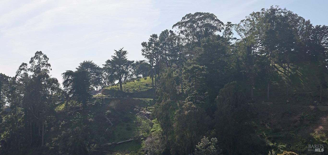 Charlotte Way, Muir Beach, California image 8