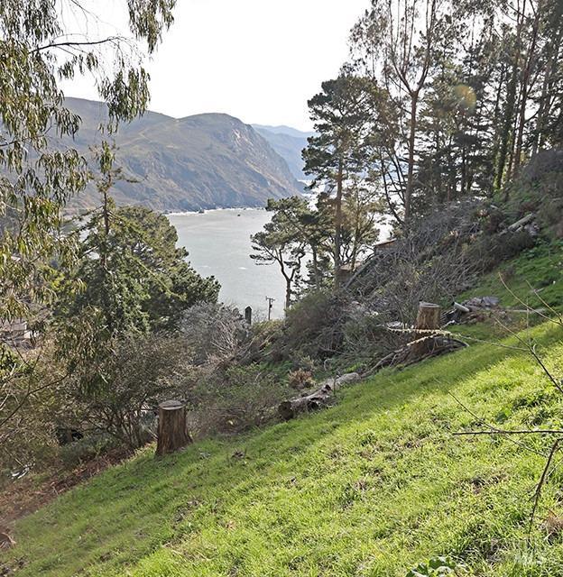 Charlotte Way, Muir Beach, California image 3