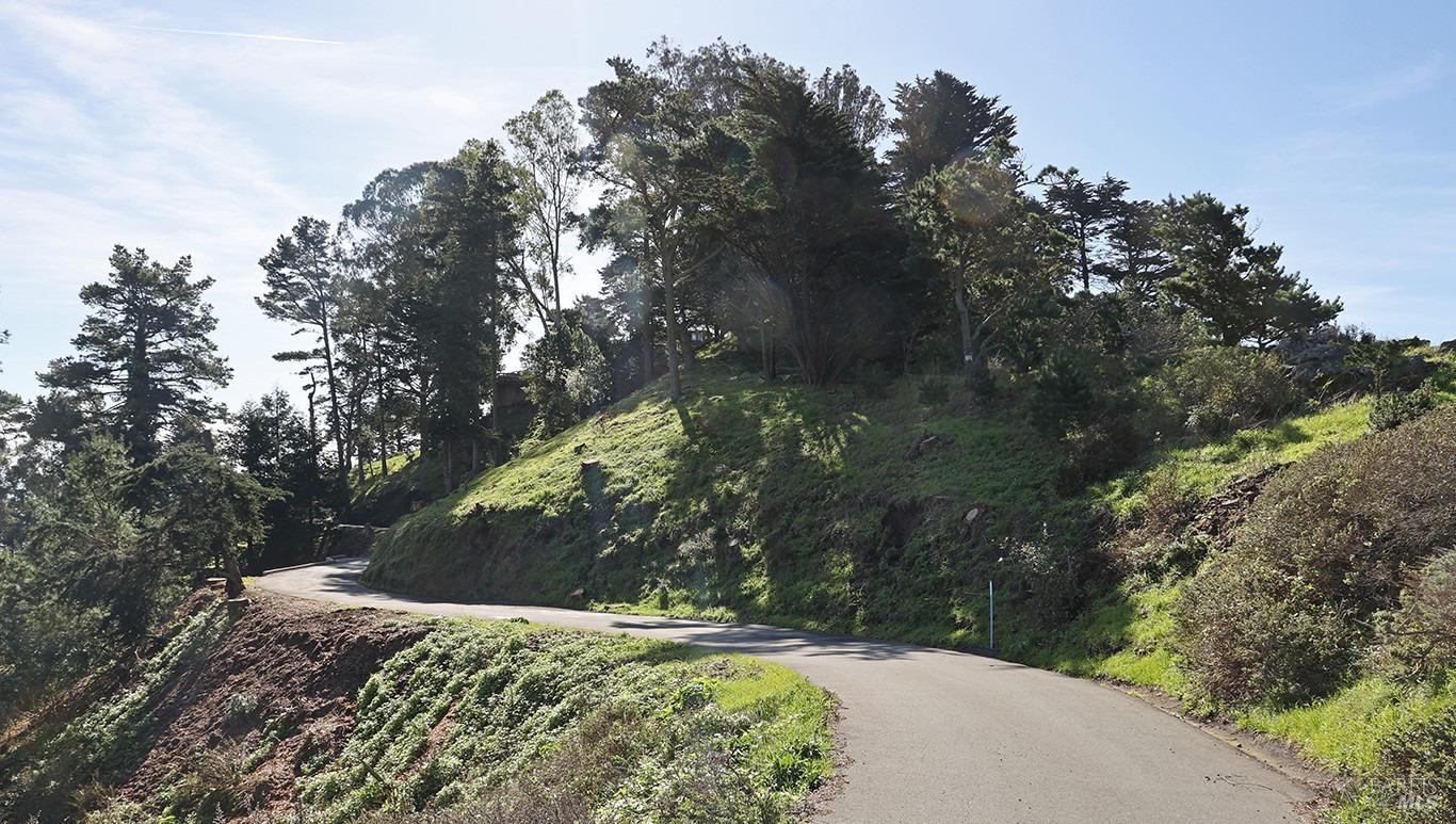 Charlotte Way, Muir Beach, California image 10