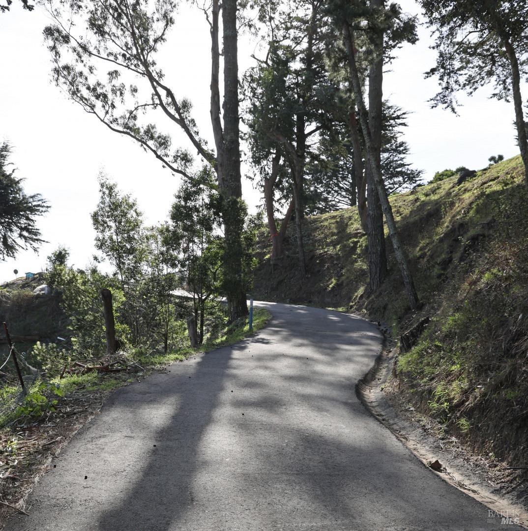 Charlotte Way, Muir Beach, California image 12