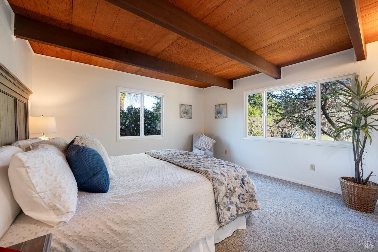 Detail Gallery Image 41 of 84 For 1905 Green Hill Rd, Sebastopol,  CA 95472 - 4 Beds | 2 Baths