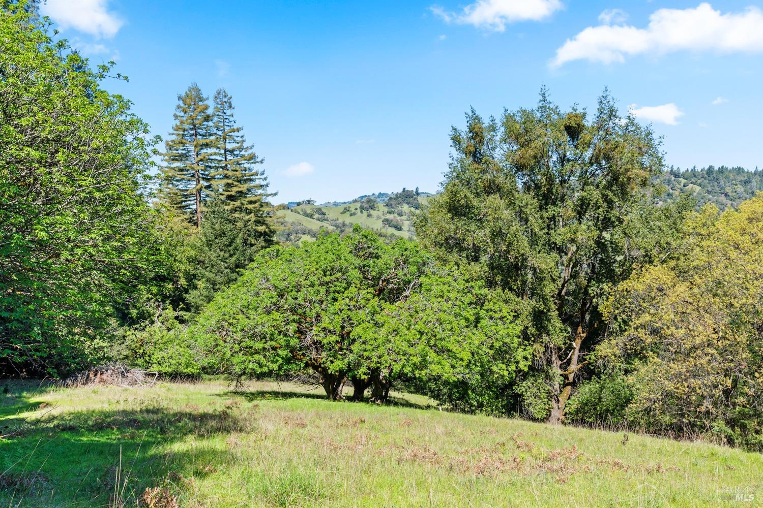 Detail Gallery Image 39 of 66 For 201 Pine Ridge Rd, Ukiah,  CA 95482 - 1 Beds | 1 Baths