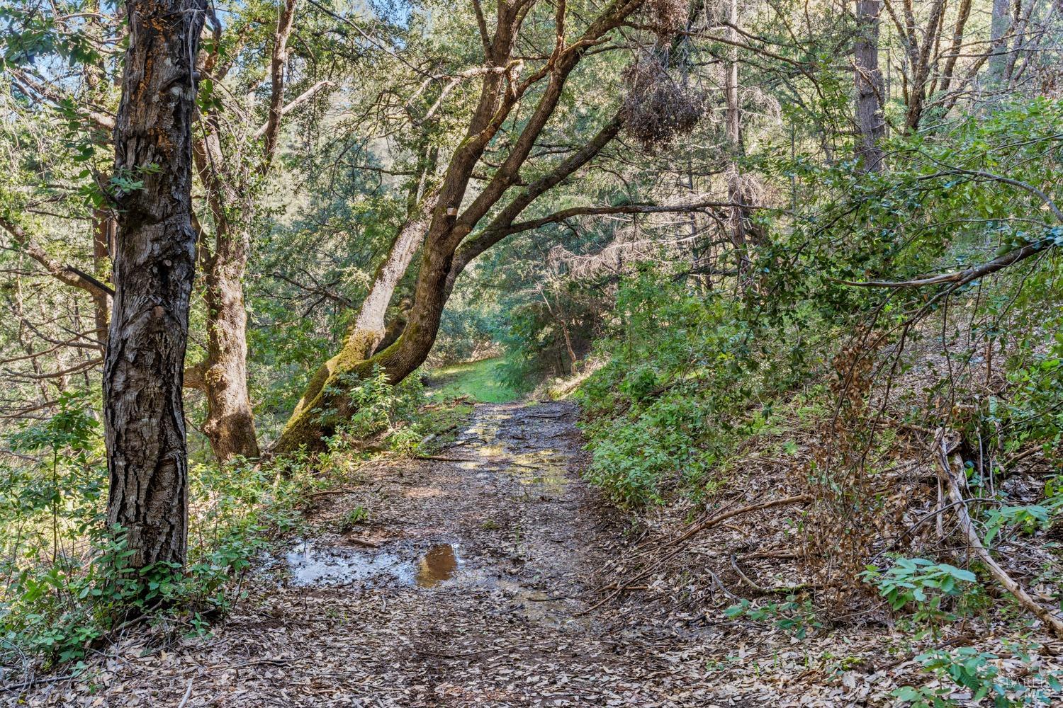 Detail Gallery Image 61 of 66 For 201 Pine Ridge Rd, Ukiah,  CA 95482 - 1 Beds | 1 Baths