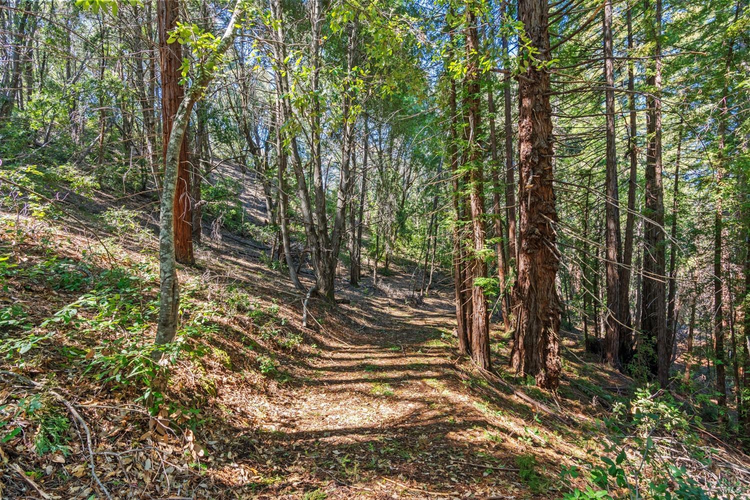 Detail Gallery Image 62 of 66 For 201 Pine Ridge Rd, Ukiah,  CA 95482 - 1 Beds | 1 Baths