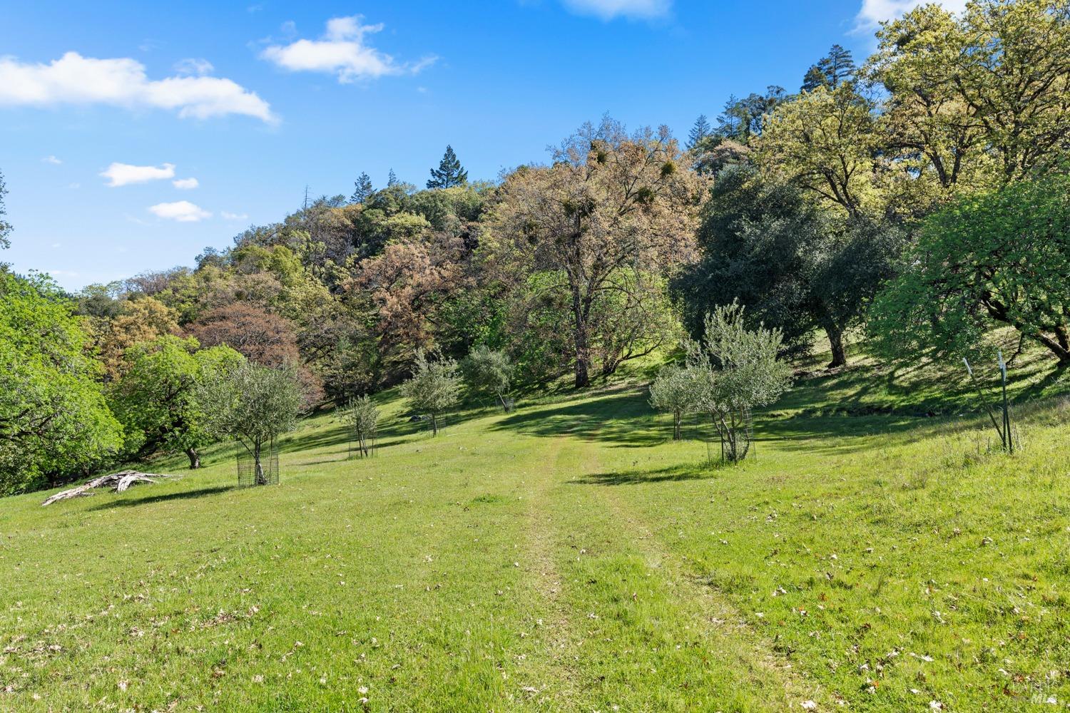 Detail Gallery Image 47 of 66 For 201 Pine Ridge Rd, Ukiah,  CA 95482 - 1 Beds | 1 Baths