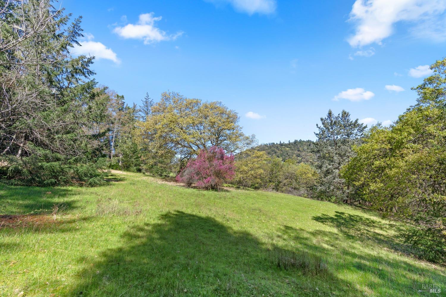 Detail Gallery Image 34 of 66 For 201 Pine Ridge Rd, Ukiah,  CA 95482 - 1 Beds | 1 Baths