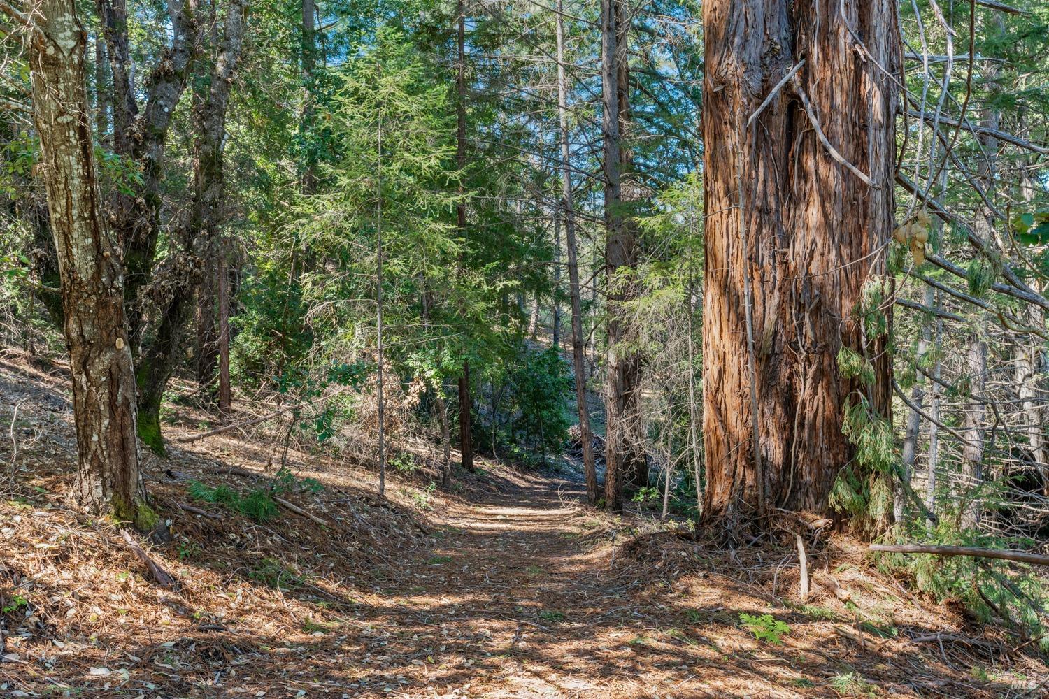 Detail Gallery Image 43 of 66 For 201 Pine Ridge Rd, Ukiah,  CA 95482 - 1 Beds | 1 Baths