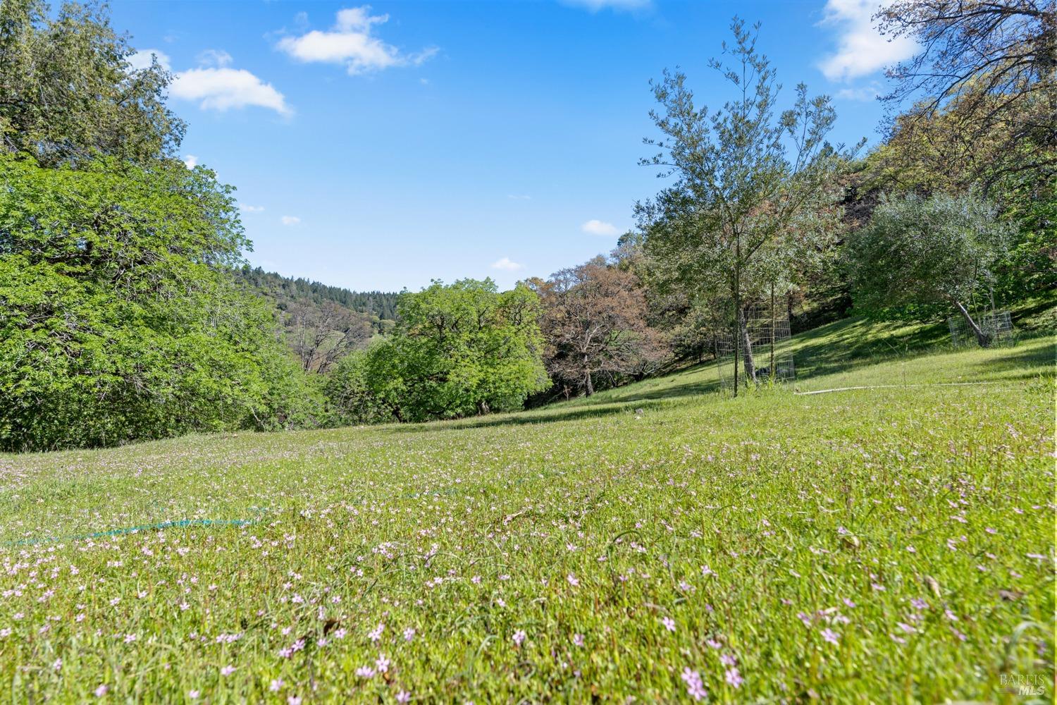 Detail Gallery Image 37 of 66 For 201 Pine Ridge Rd, Ukiah,  CA 95482 - 1 Beds | 1 Baths