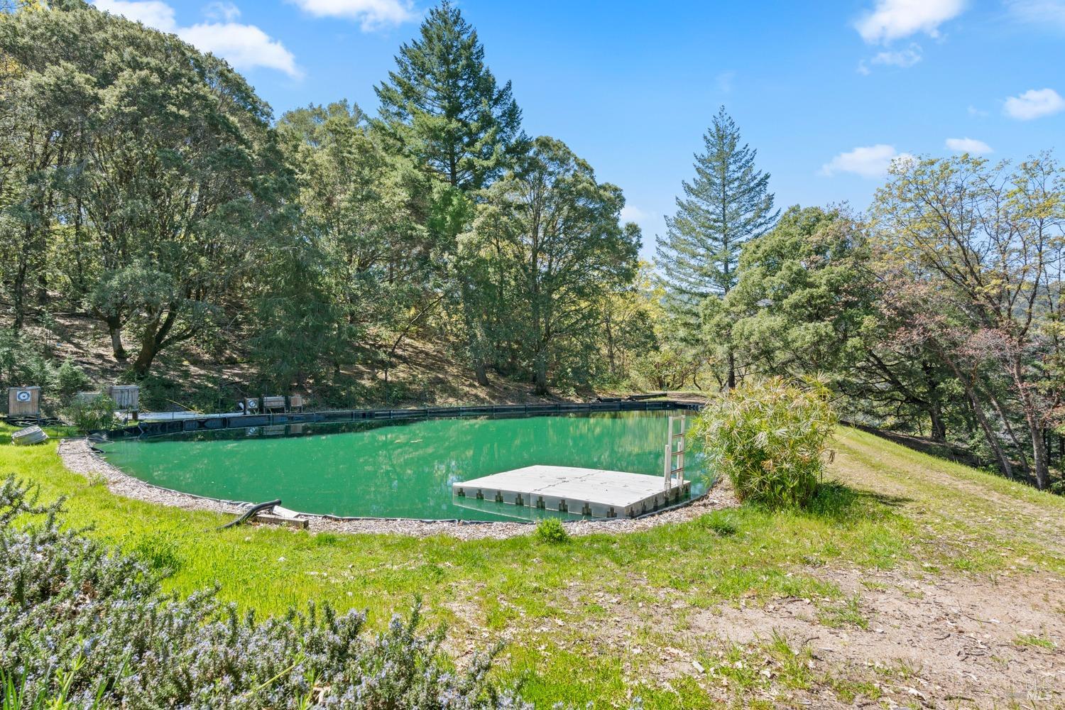 Detail Gallery Image 58 of 66 For 201 Pine Ridge Rd, Ukiah,  CA 95482 - 1 Beds | 1 Baths