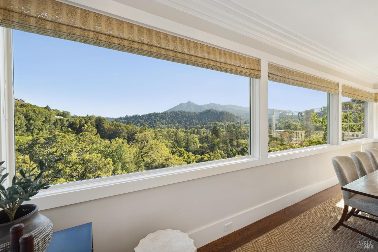 Detail Gallery Image 26 of 85 For 120 Sturdivant Ave, San Anselmo,  CA 94960 - 5 Beds | 4/1 Baths