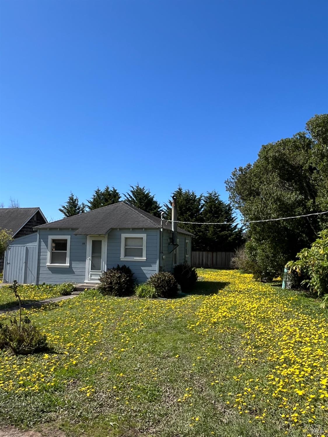 Evergreen Road, Bolinas, California image 9