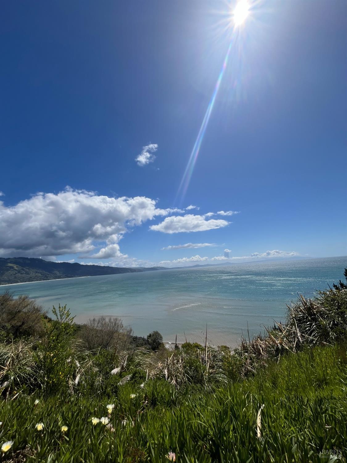 Evergreen Road, Bolinas, California image 33