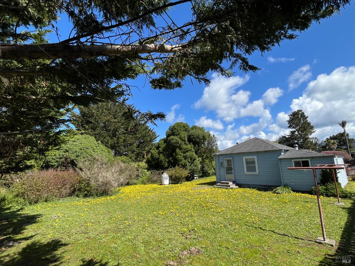 Evergreen Road, Bolinas, California image 10