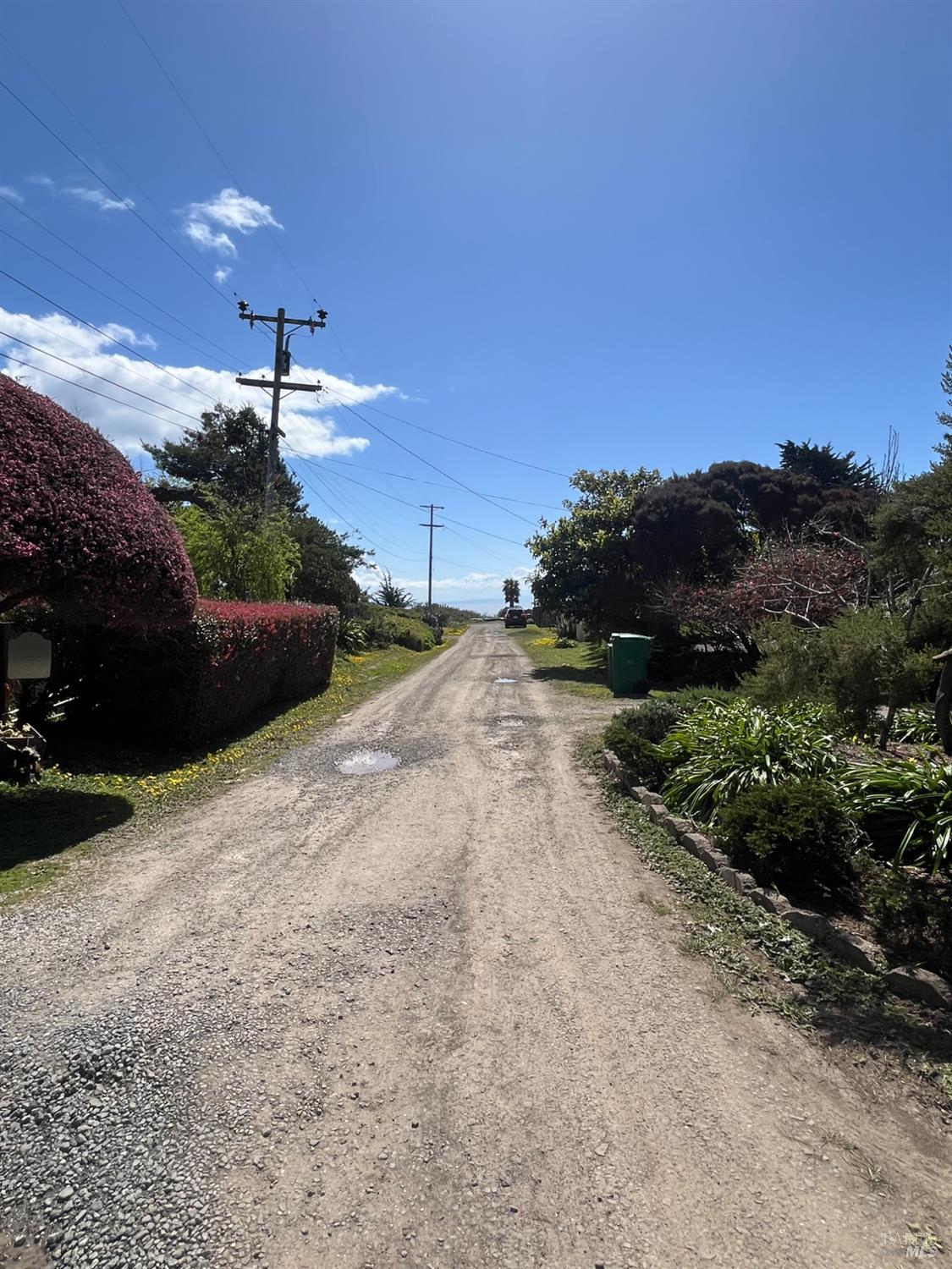 Evergreen Road, Bolinas, California image 26