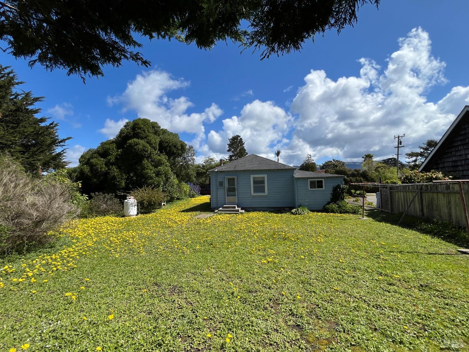 Evergreen Road, Bolinas, California image 8