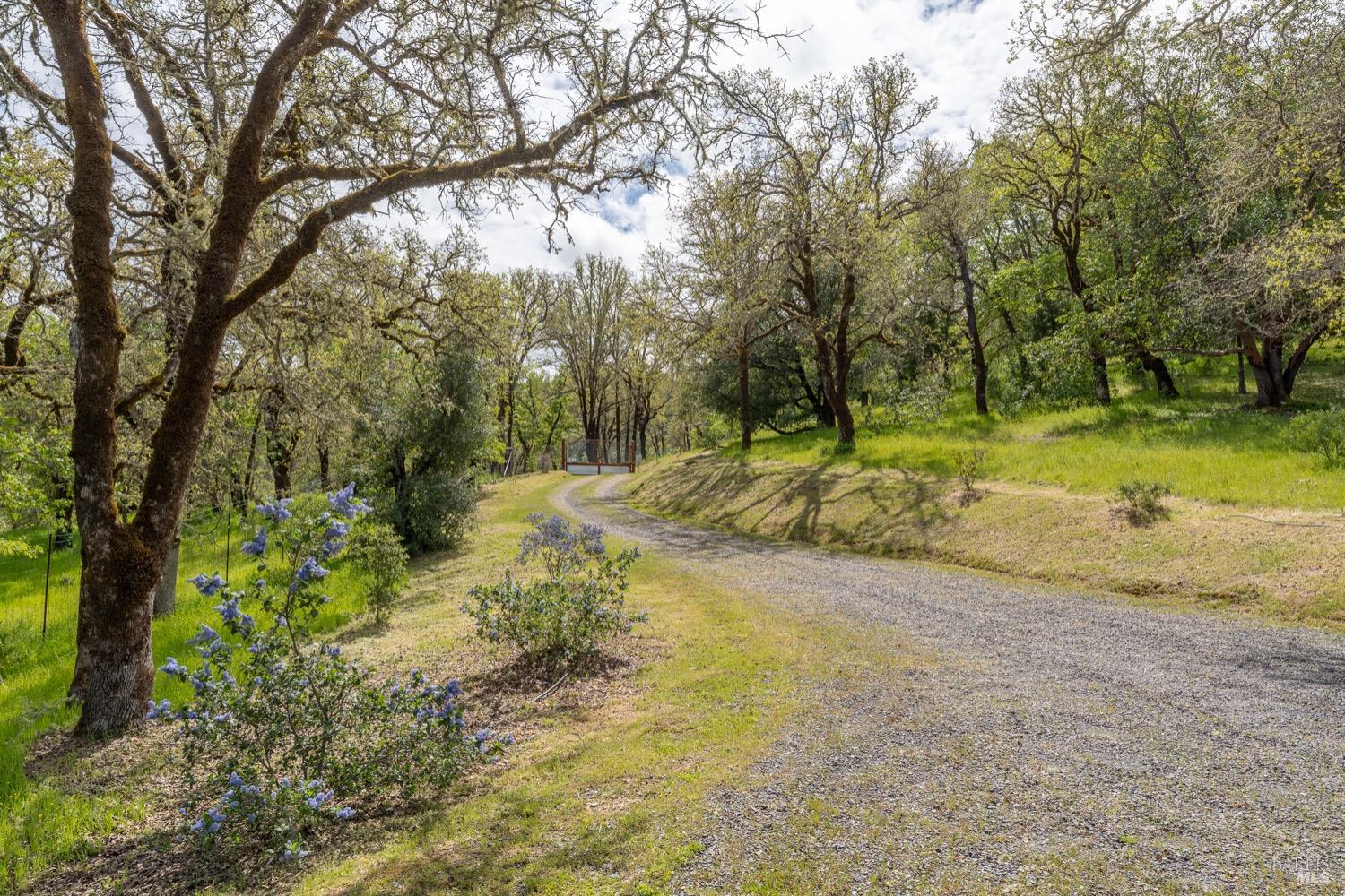 Detail Gallery Image 27 of 36 For 4305 Long Valley Ranch Rd, Ukiah,  CA 95482 - 2 Beds | 1 Baths